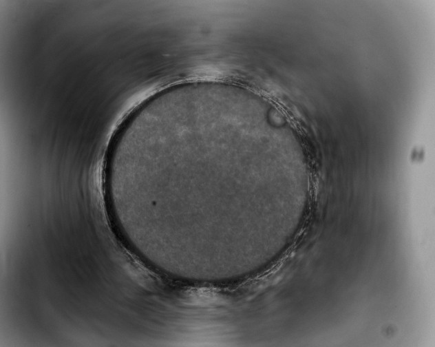 X0000103950244200810101444