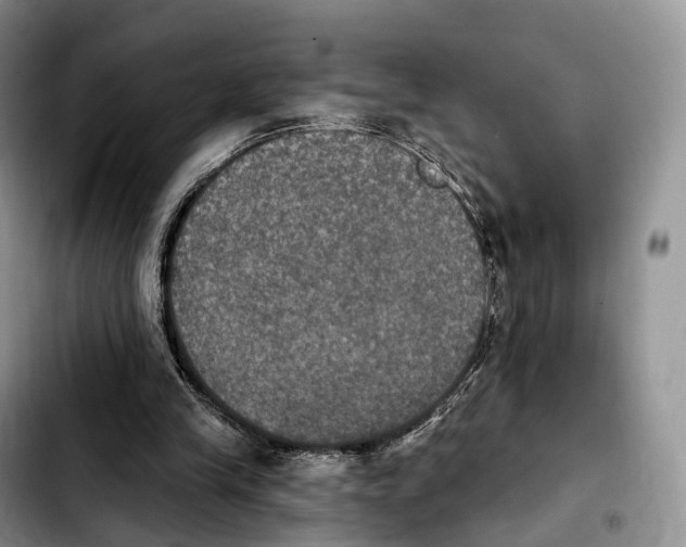 X0000103950245200810101444