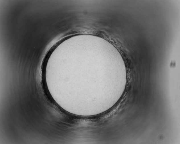 X0000103950246200810101444