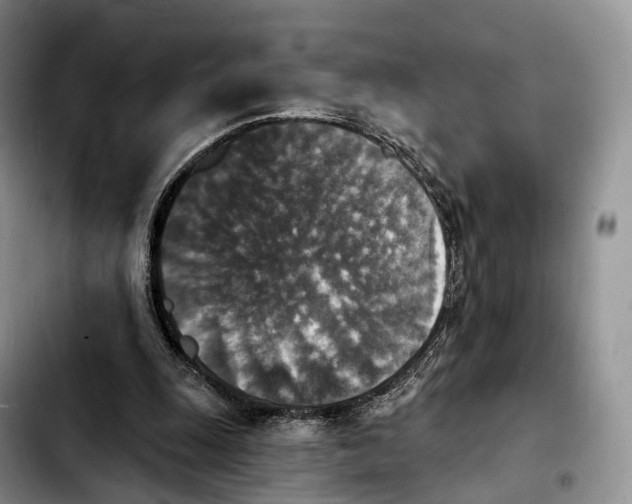 X0000103950247200810101444