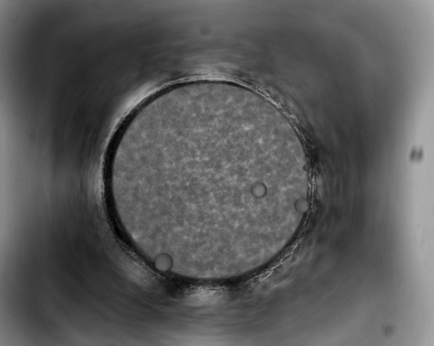 X0000103950248200810101444