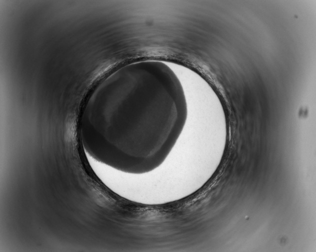 X0000103950249200810101444