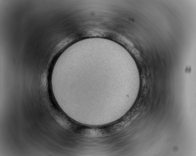 X0000103950250200810101444