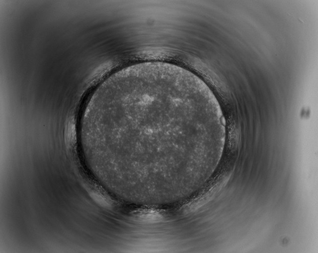 X0000103950254200810101444