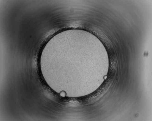 X0000103950256200810101444