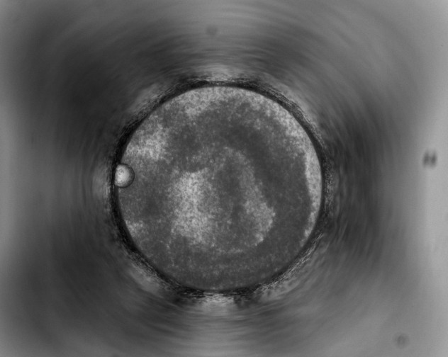 X0000103950257200810101444