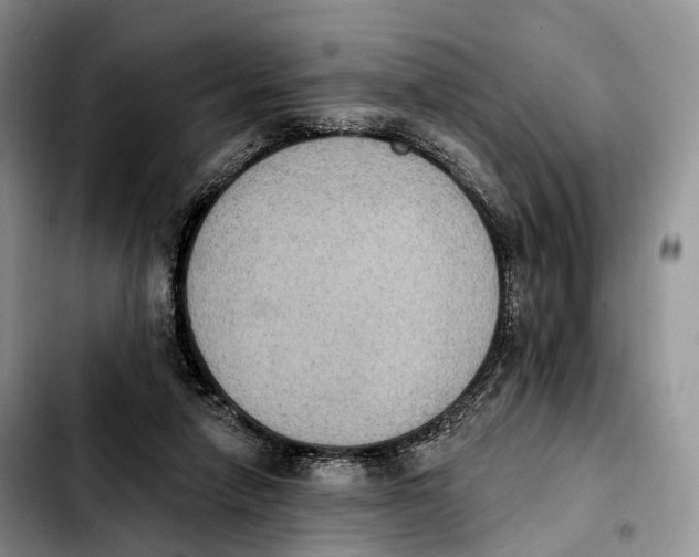 X0000103950258200810101444