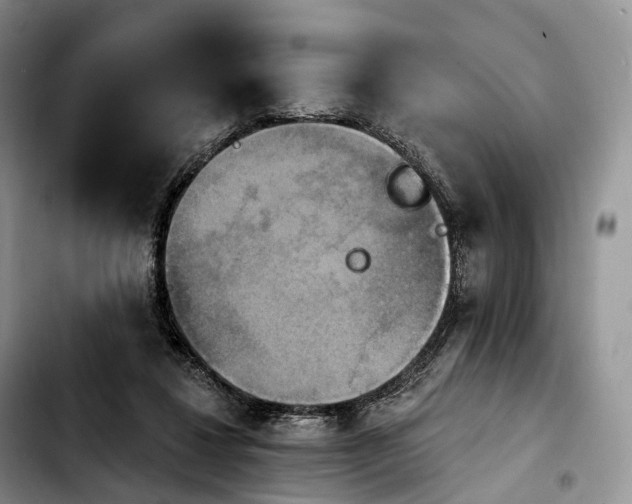 X0000103950260200810101445