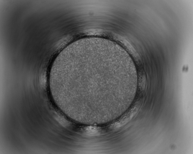 X0000103950261200810101445