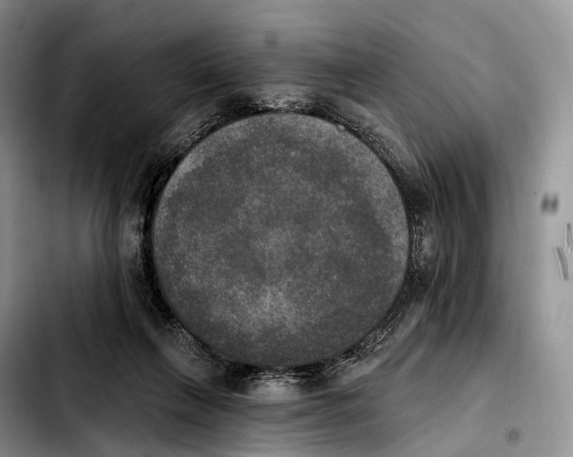 X0000103950263200810101445