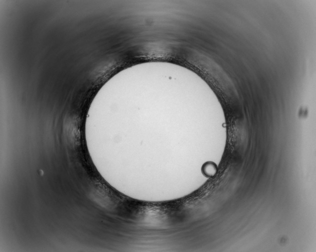 X0000103950264200810101445