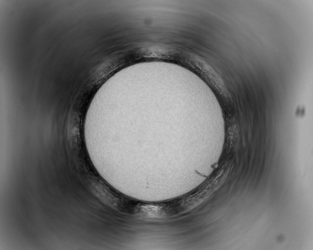 X0000103950265200810101445