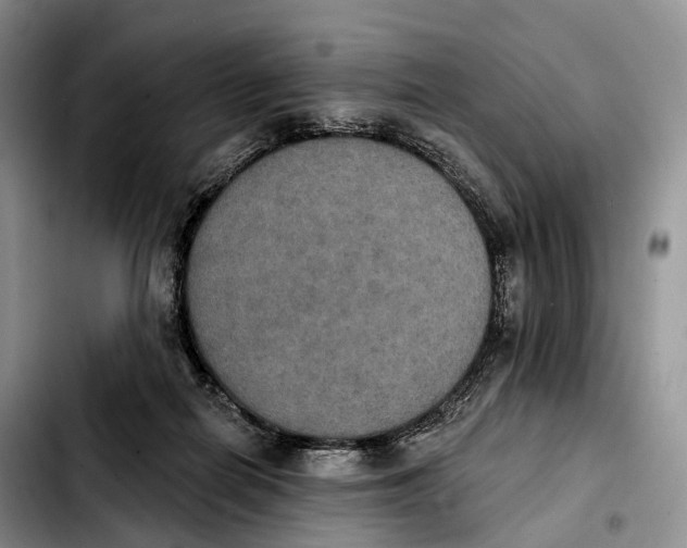 X0000103950266200810101445