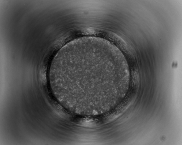 X0000103950267200810101445