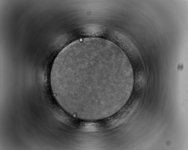 X0000103950268200810101445