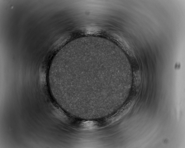 X0000103950269200810101445