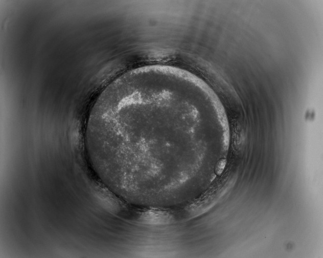 X0000103950270200810101445