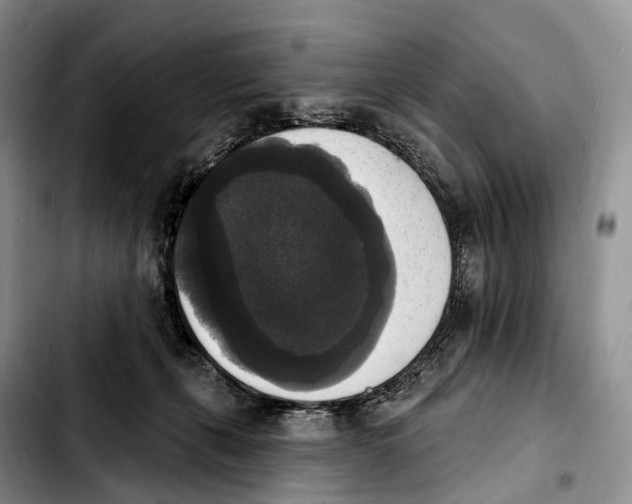 X0000103950271200810101445