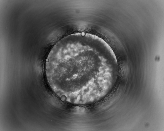 X0000103950272200810101445