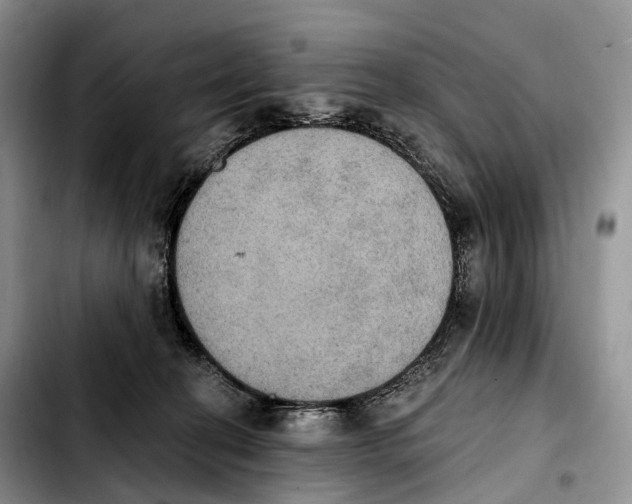 X0000103950274200810101445