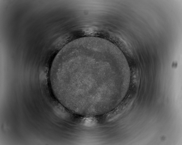 X0000103950275200810101445