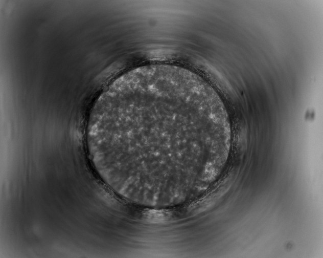 X0000103950277200810101445