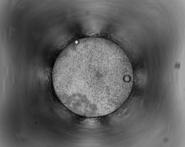 X0000103950280200810101445