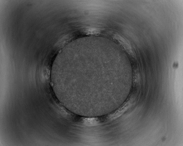 X0000103950281200810101445