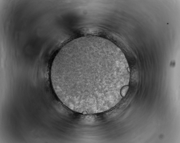 X0000103950282200810101445