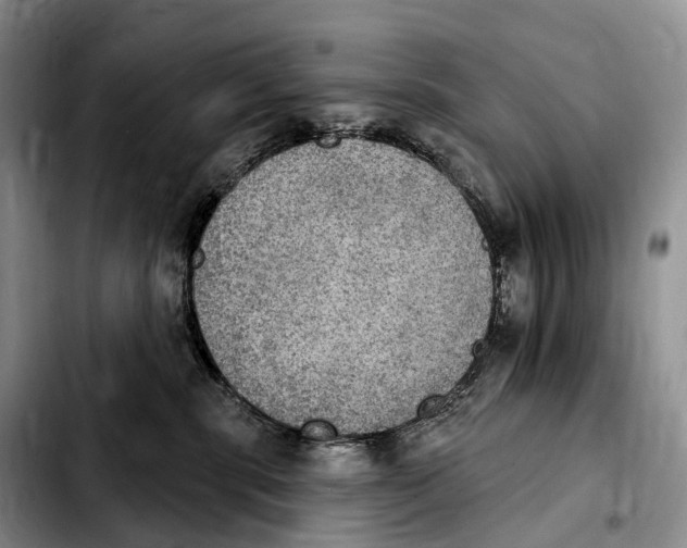 X0000103950283200810101445