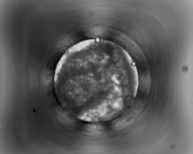 X0000103950284200810101445