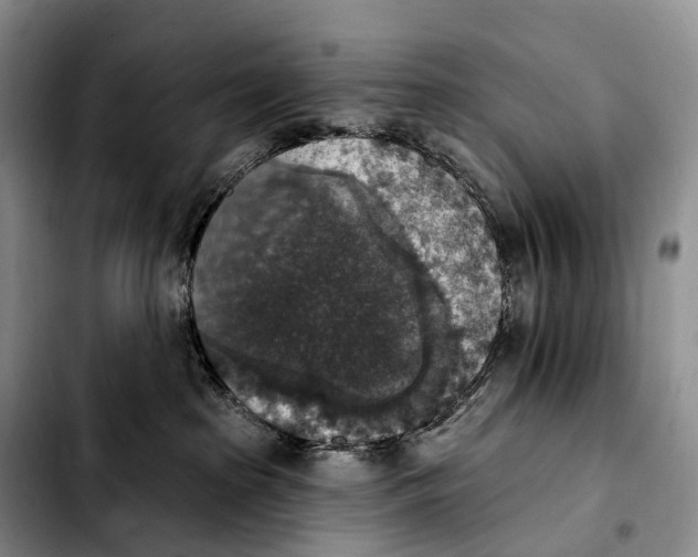 X0000103950285200810101445