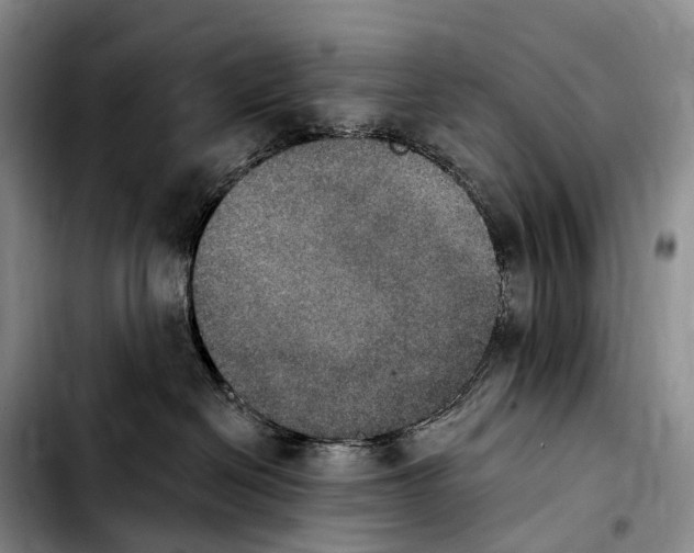 X0000103950286200810101445