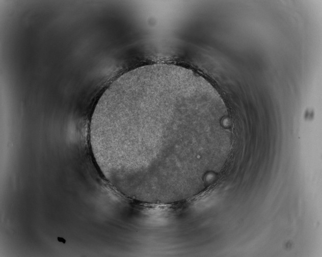 X0000103950288200810101445