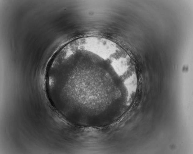 X0000103950290200810101444