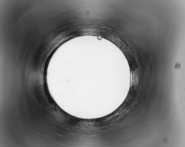 X0000103950291200810101444