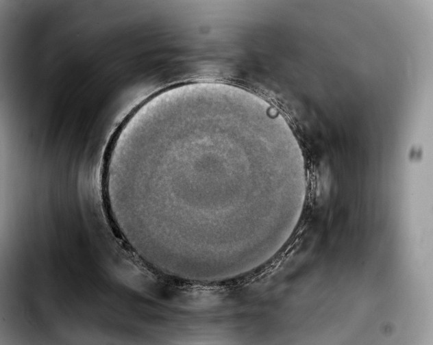 X0000103950292200810101444