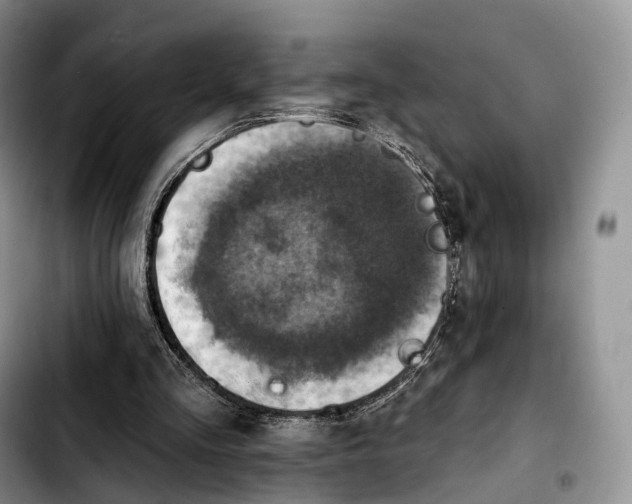 X0000103950293200810101444