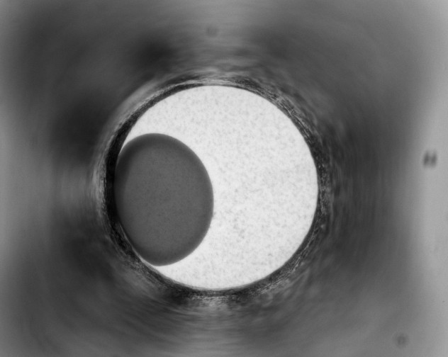 X0000103950295200810101444