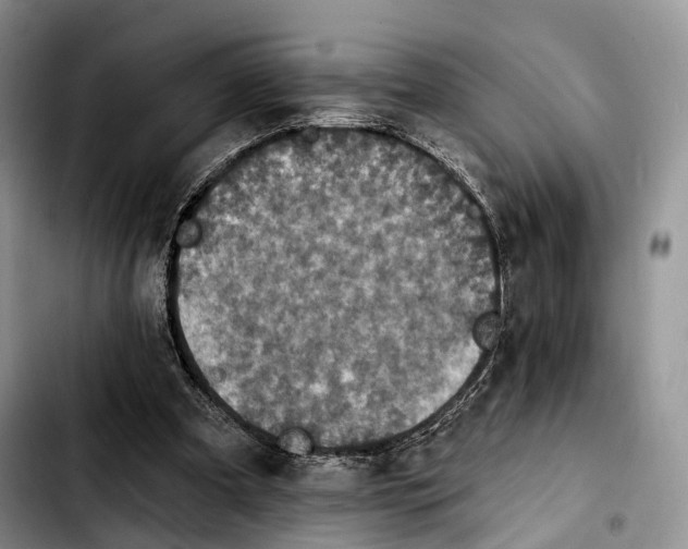 X0000103950297200810101444