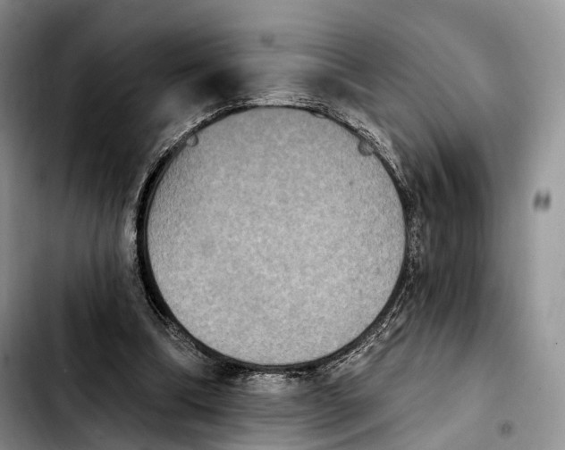 X0000103950298200810101444