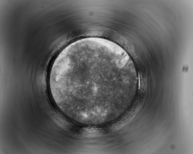 X0000103950300200810101444