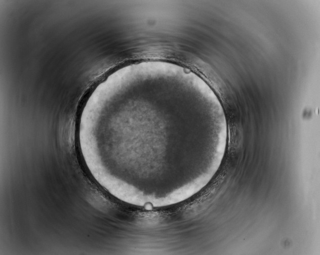 X0000103950301200810101444