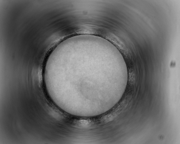 X0000103950302200810101444