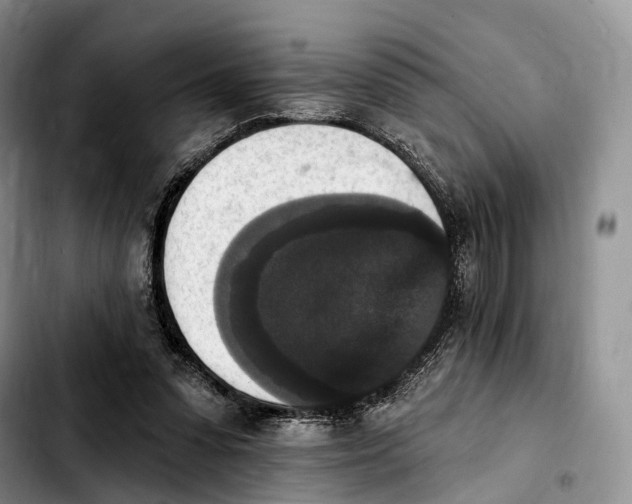 X0000103950303200810101444