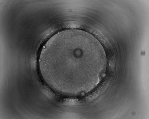 X0000103950304200810101444