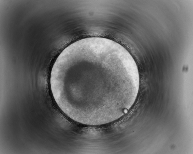 X0000103950305200810101444