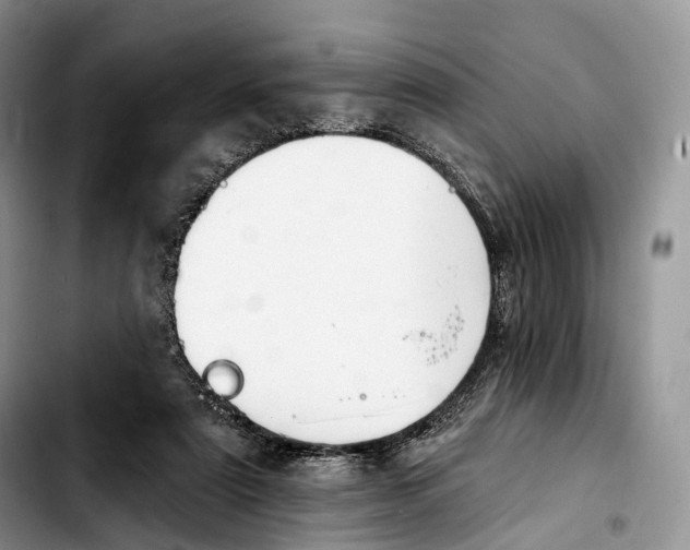 X0000103950307200810101444