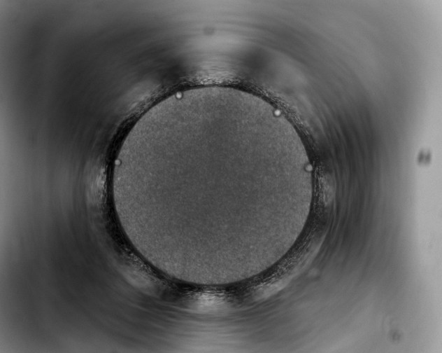 X0000103950308200810101444