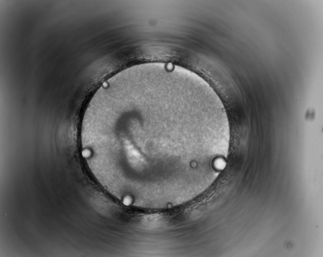 X0000103950309200810101444